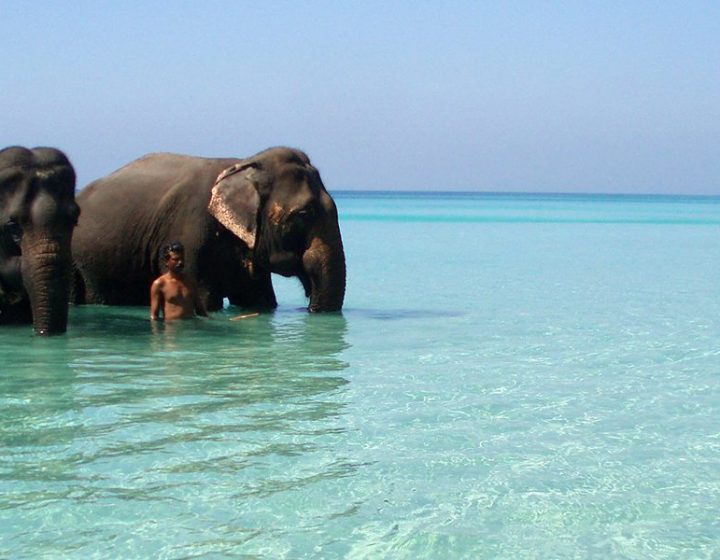 Elephant-Beach-Havelock-Island