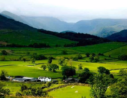 lush-green-hills-ziro-valley