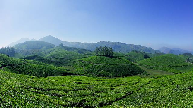 Munnar-Hills-Kerala