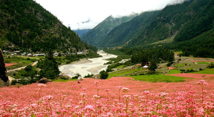 Sangla-Himachal-Pradesh