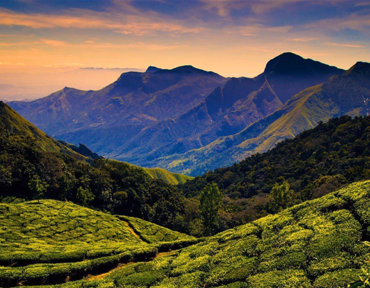 Attachment Details Nilgiris-Hills-The-Blue-Mountains