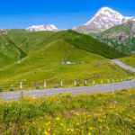 Beautiful georgia Military Highway
