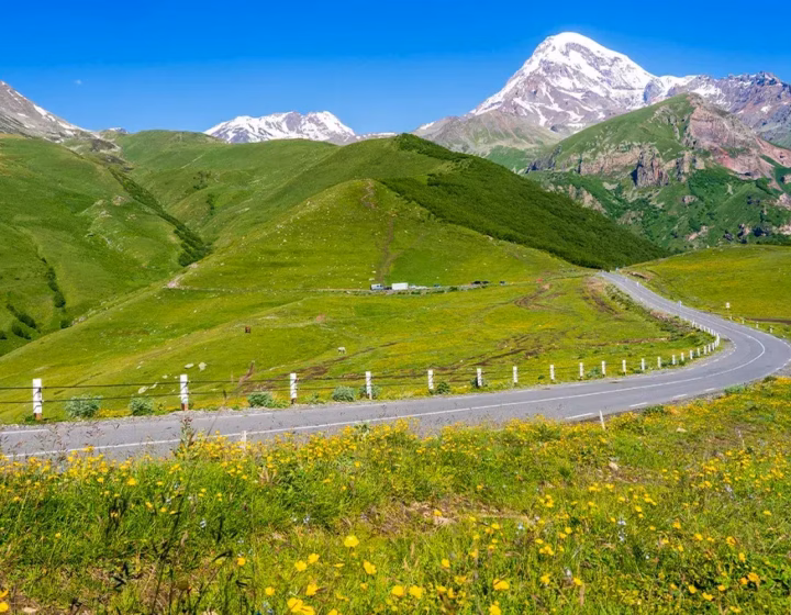 Beautiful georgia Military Highway